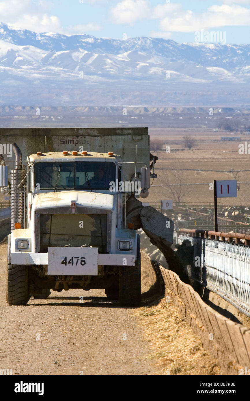 LKW-dumping Futterration für Rinder auf ein Feedlot im Grand View Idaho USA Stockfoto