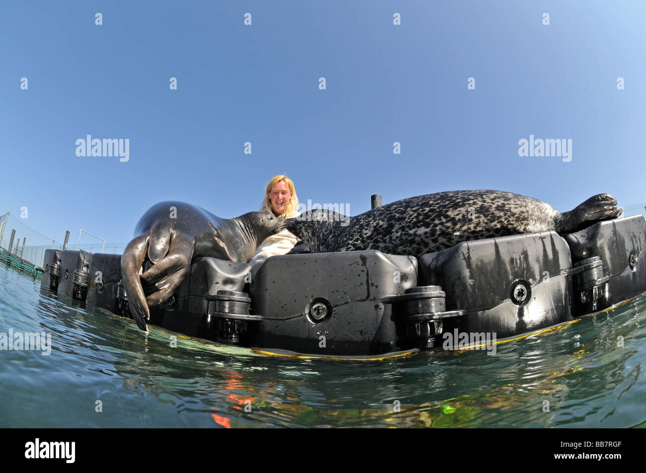 Marine Science Center station Dichtung Forschung Rostock Stockfoto