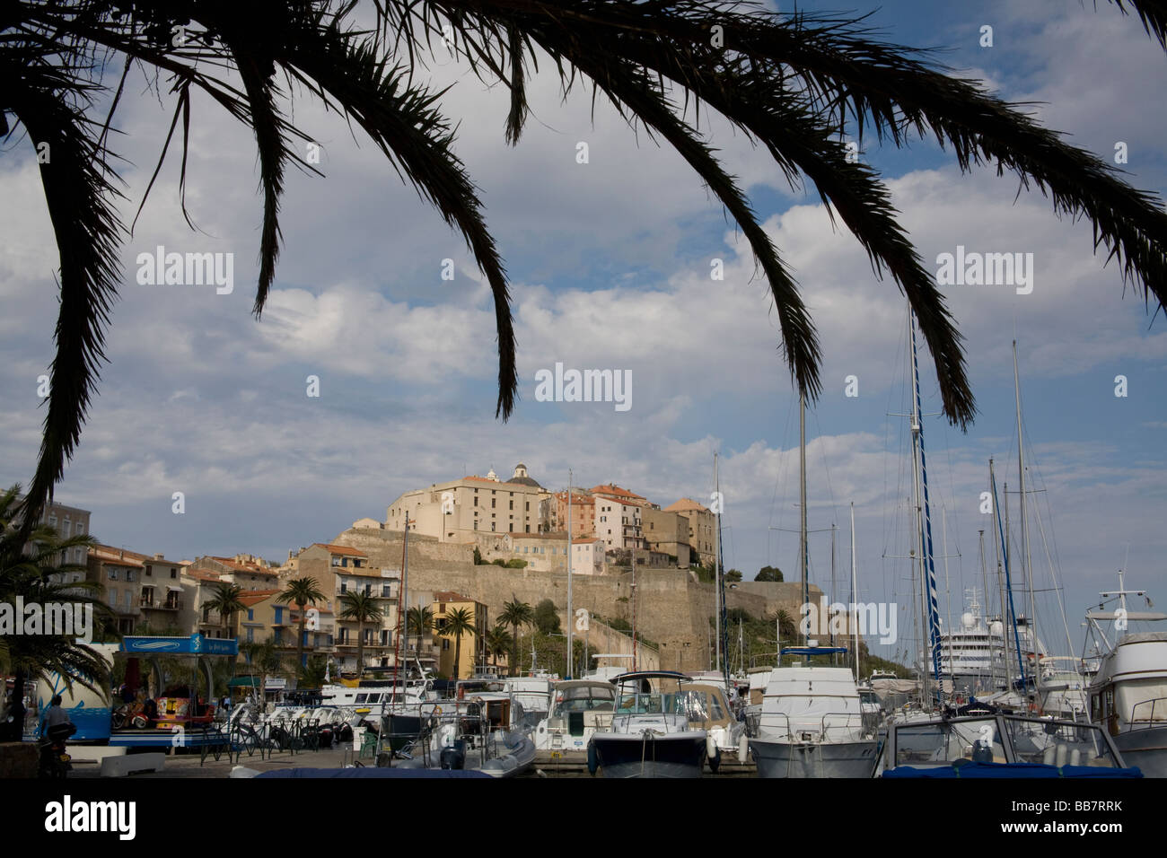 Der Hafen von Calvi mit der Zitadelle im Hintergrund, Korsika Frankreich Stockfoto