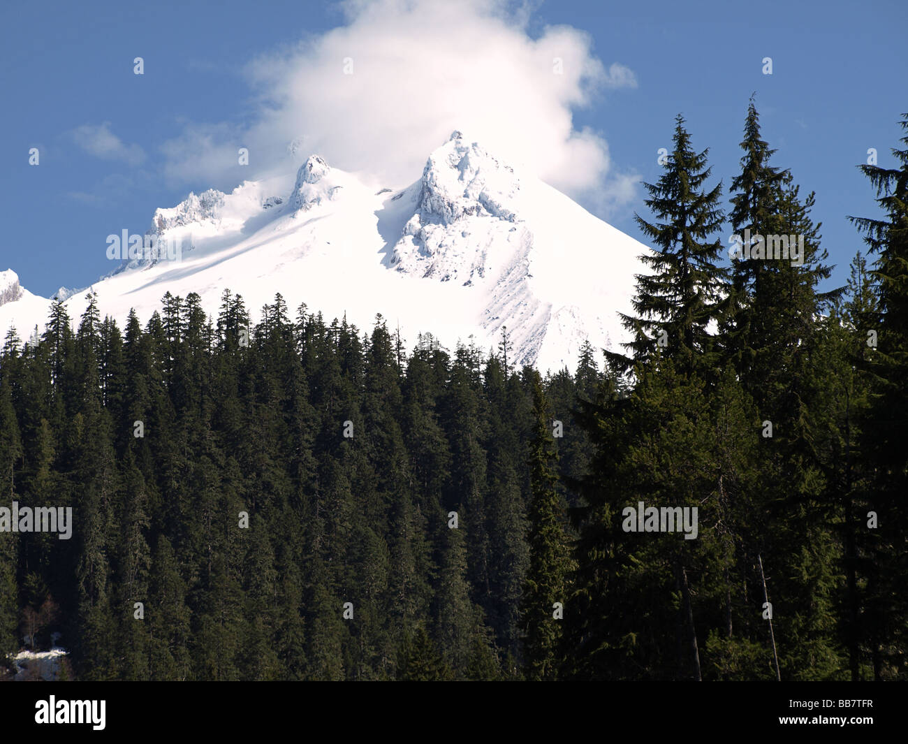 Mount Hood in Oregon s Winter höchsten Gipfel Vulkan vulkanische Gletscher schneebedeckten eisigen Schnee Wolke Stockfoto