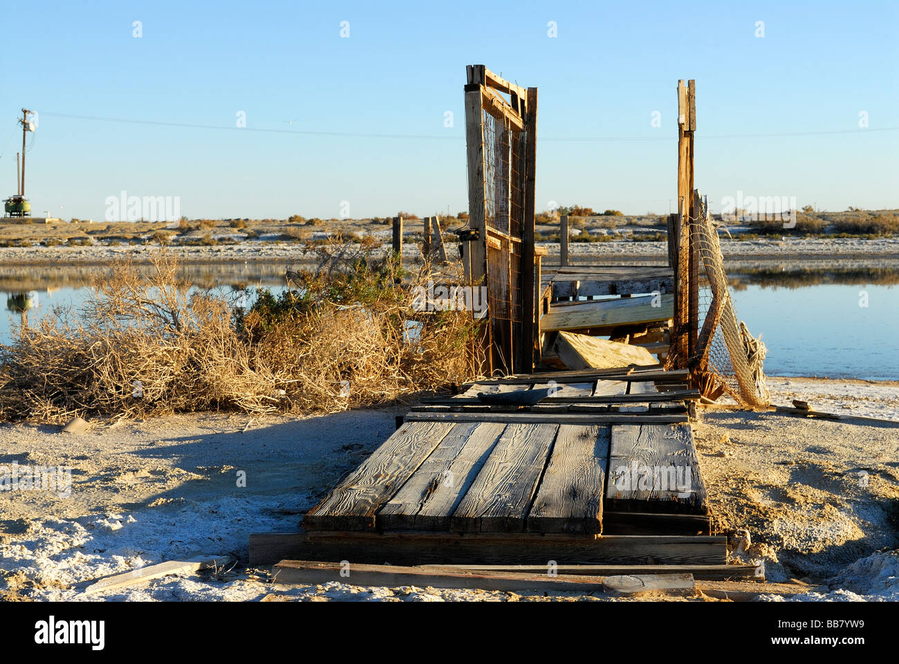 Holz Ponton im Salton sea Stockfoto