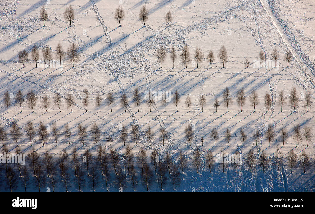 Luftaufnahme, Rodelhang im Prosper-Park, Schnee, Bäume, winter, Bottrop, Ruhrgebiet, Nordrhein-Westfalen, Deutschland, Euro Stockfoto