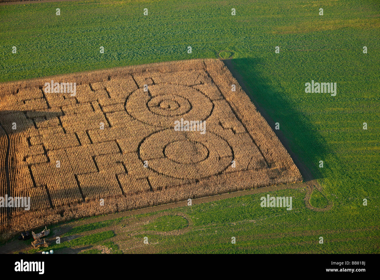 Luftaufnahme, Maisfeld, Maislabyrinth, Iserlohn, Maerkischer Kreis, Sauerland, Nordrhein-Westfalen, Deutschland, Europa Stockfoto