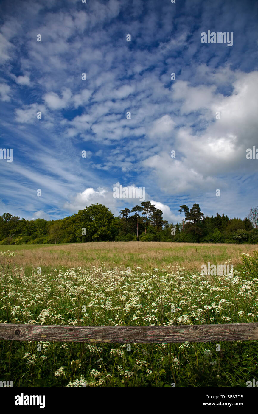 Landschaft in der Nähe von vier Marken, Hampshire, England Stockfoto