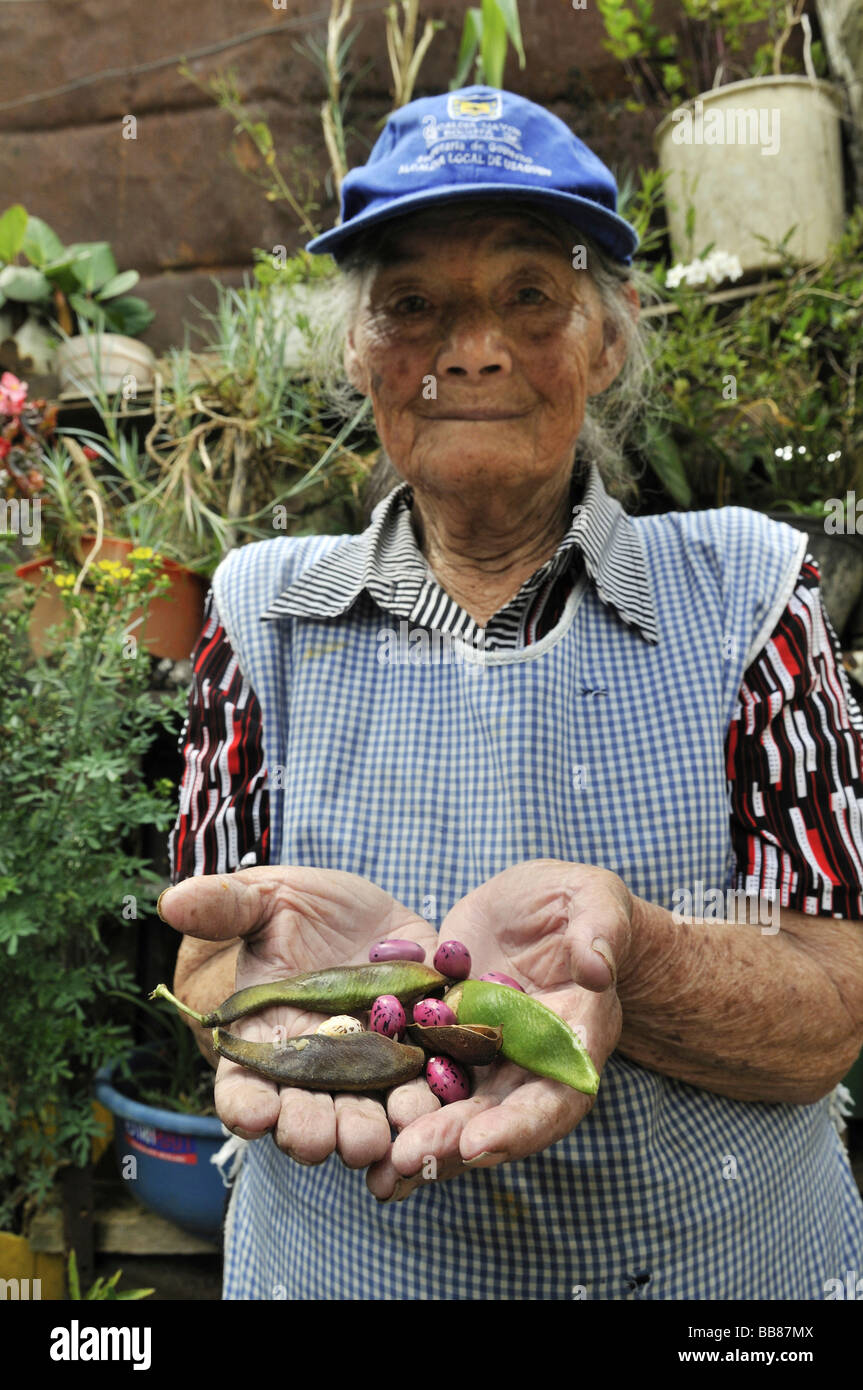Ältere Frau mit Bohnen, die sie, hinter ihrem Haus, die Slums von Cerro Norte, Bogota, Columbia gepflanzt hat Stockfoto