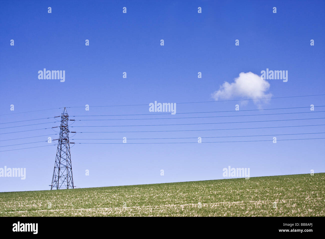 Strommast & Kabel in einem Feld vor einem blauen Himmel. Stockfoto
