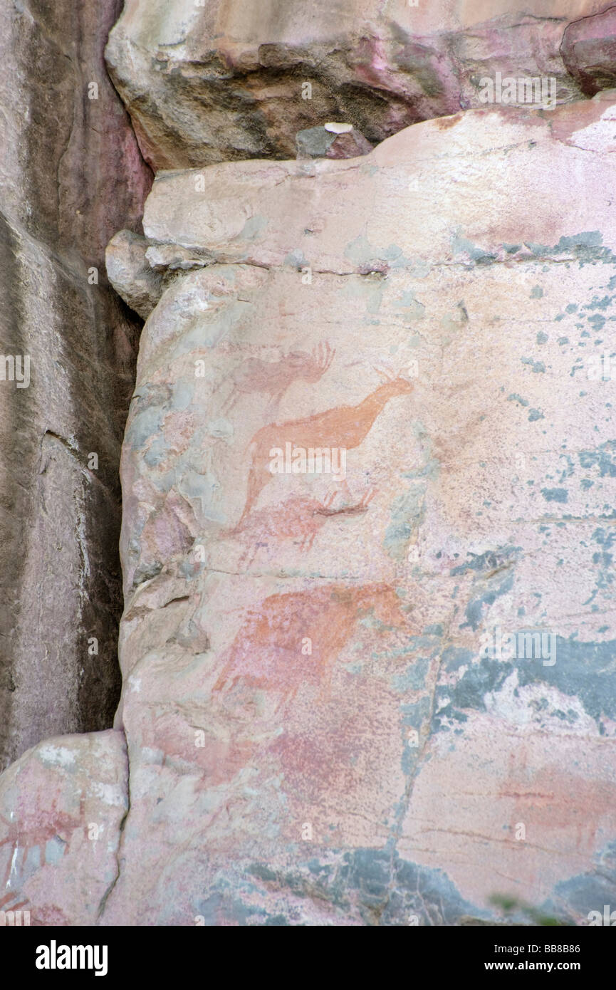 Felsmalereien Sie auf der Rhino-Trail am UNESCO-Weltkulturerbe Tsodilo Hills, Botswana, Afrika Stockfoto