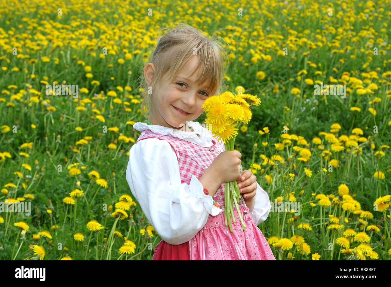 Mädchen auf einer Wiese voller Pusteblumen Stockfoto