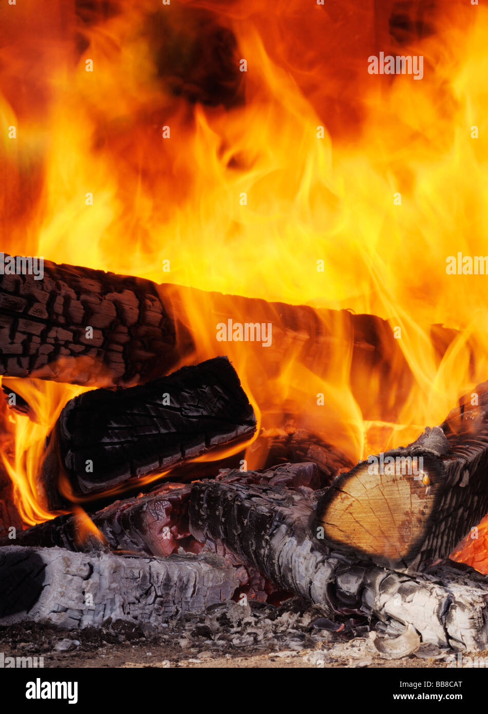 Flammende Buchenholz Protokolle, Feuer Stockfoto