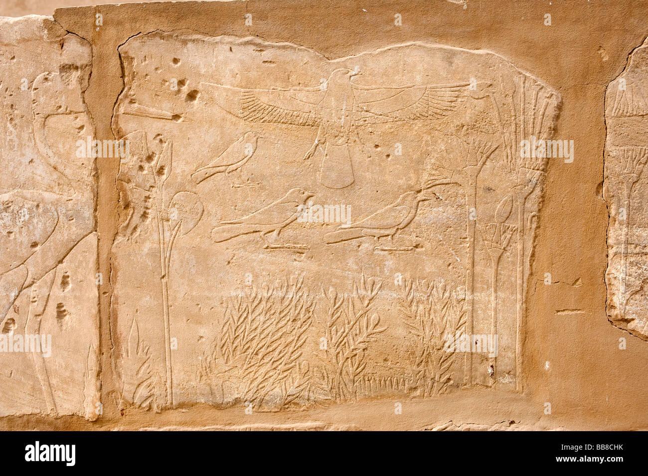 Relief mit Pflanze Grafiken, so genannte Botanischer Garten von Thutmosis III., Karnak Tempel, Luxor, Ägypten, Afrika Stockfoto
