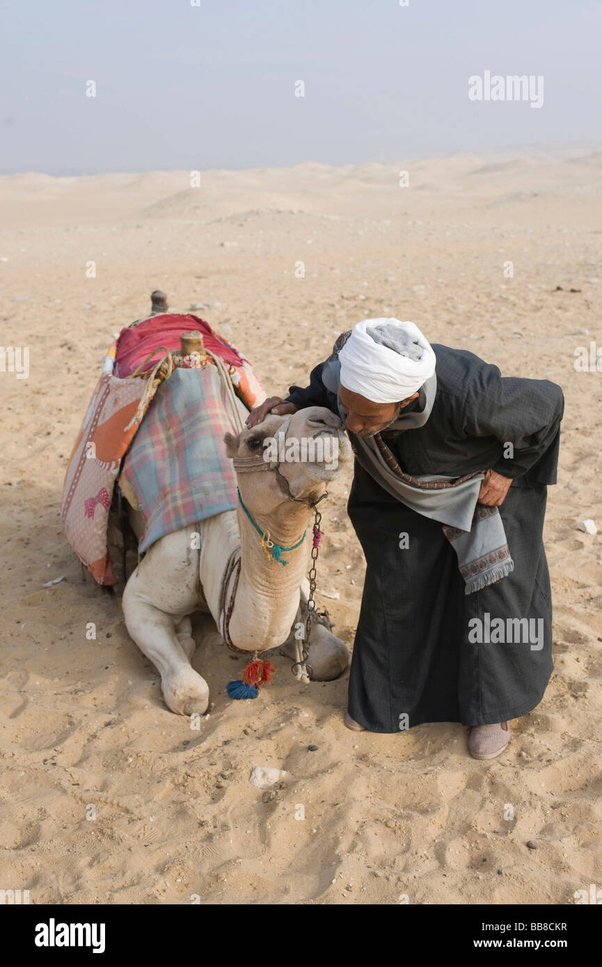 Karawanenführer küssen sein Kamel, Kamel liegend im Sand, Wüste in der Nähe von Kairo, Ägypten, Afrika Stockfoto