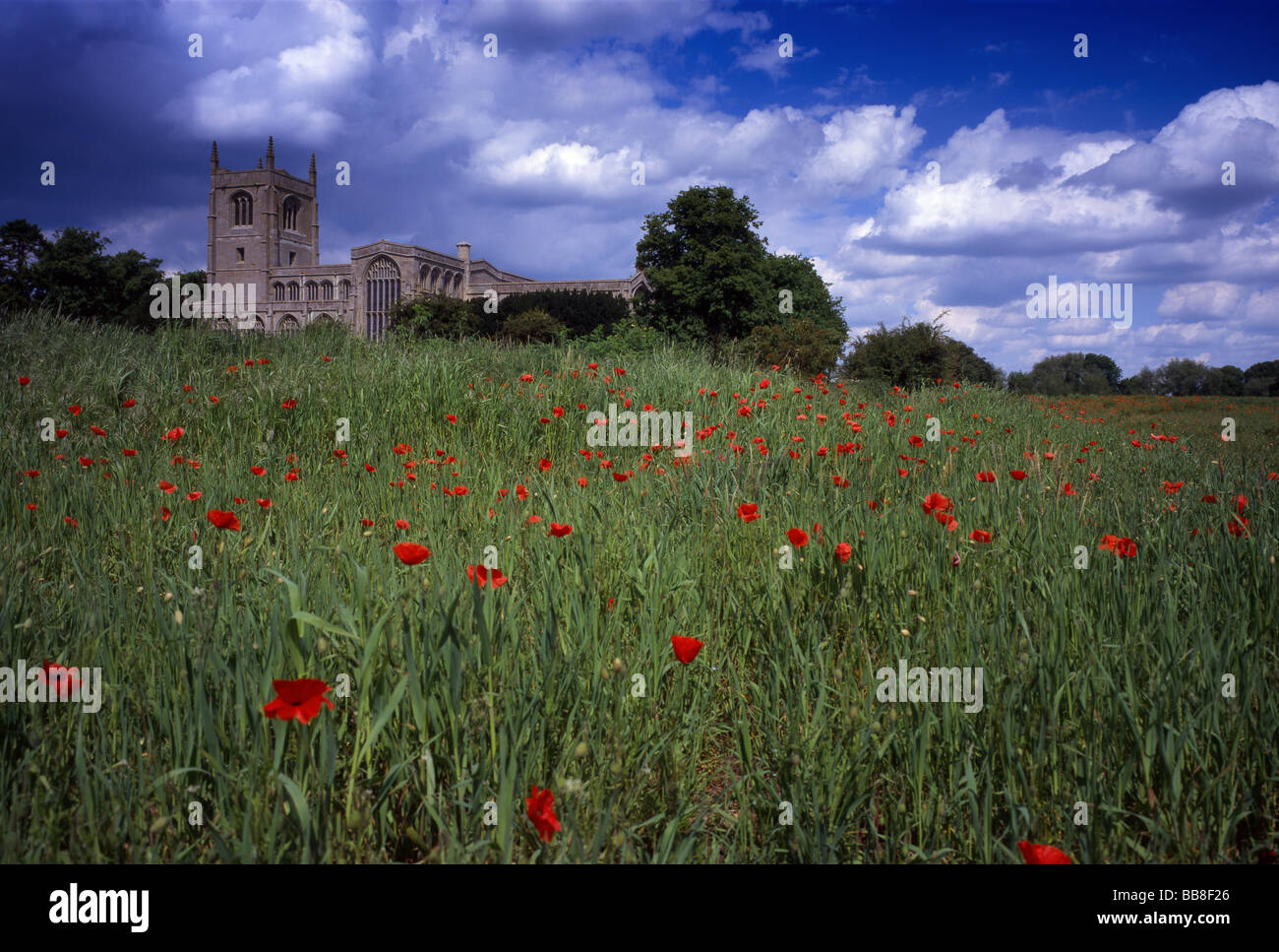 Heilige Dreifaltigkeit Stiftskirche, Tattershall, Lincolnshire, England, Großbritannien Stockfoto