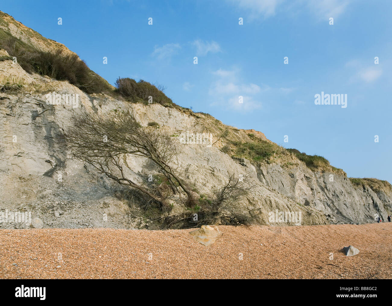 Hinweise auf einer Klippe am Strand Charmouth reduzieren Stockfoto