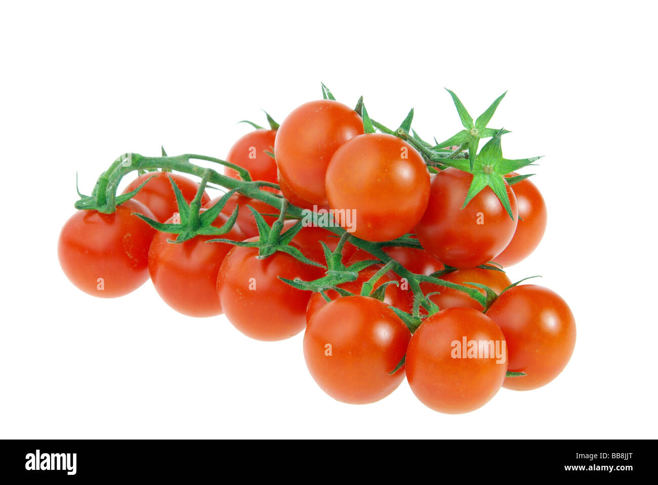 Tomate-Tomaten 29 Stockfoto