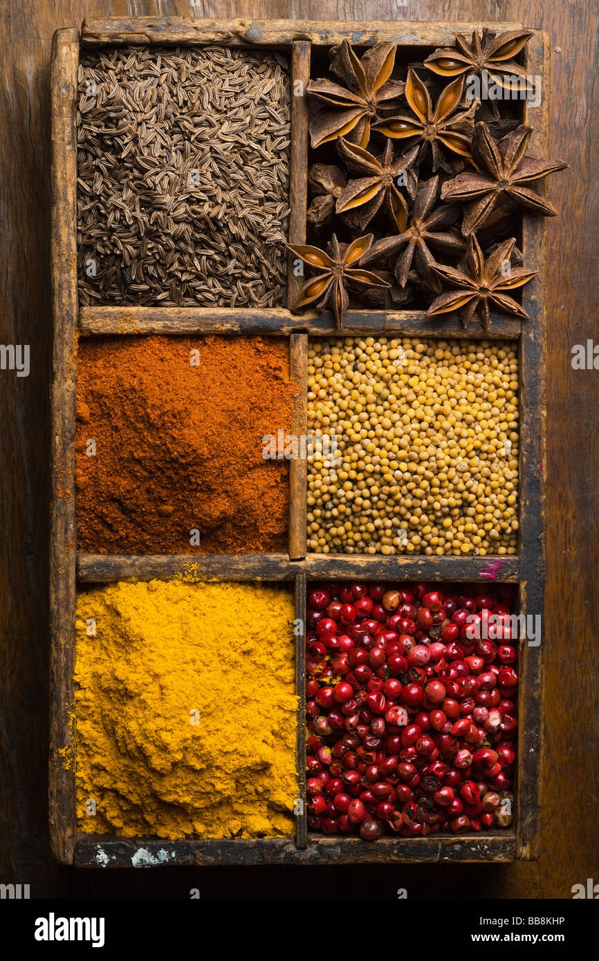 diverse Gewürze in einer Holzkiste Paprika Sternanis Cummin Senf Samen Stockfoto