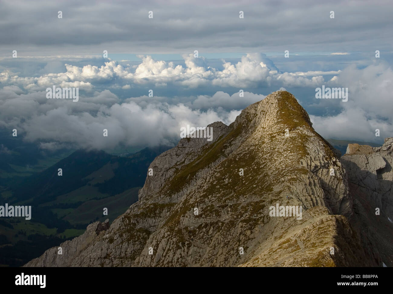 Blick auf die Appenzeller Alpen am Saentis, 2501 m ü.M., Kanton St. Gallen, Schweiz, Europa Stockfoto