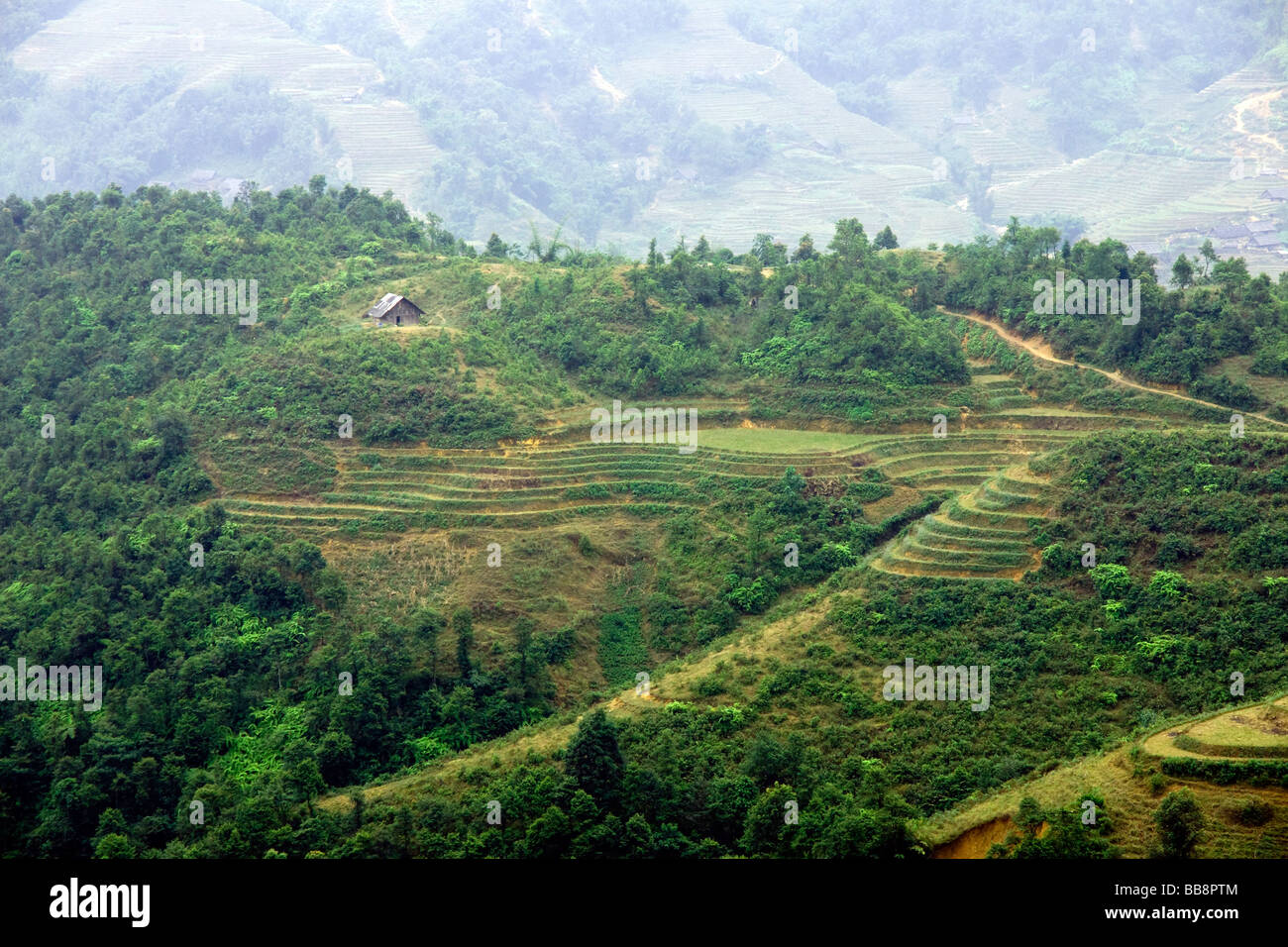 Blick über das Lao Chai Tal, Sapa, Vietnam Stockfoto