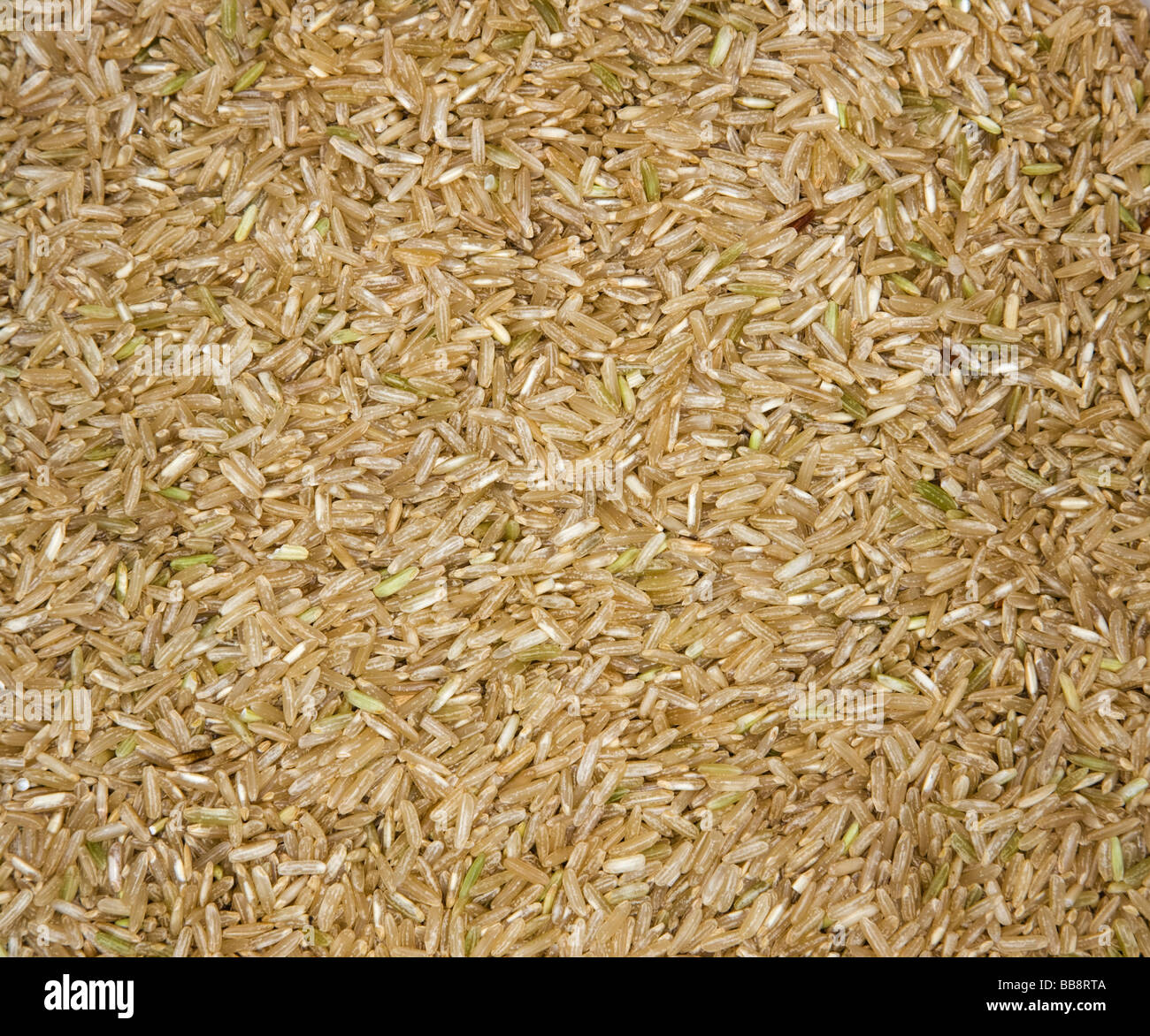 brauner Reis Stockfoto