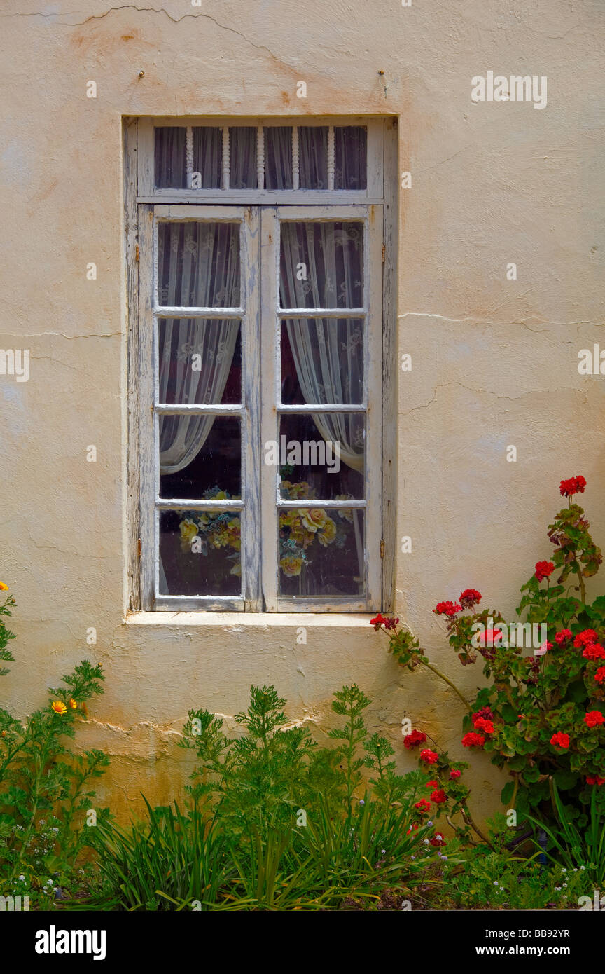 Harmonie, CA: Fenster und Garten detail Stockfoto