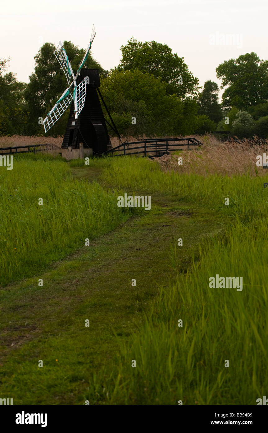 Historische Wind Pumpe auf das Venn in der Nähe von Ely bei Wicken Stockfoto