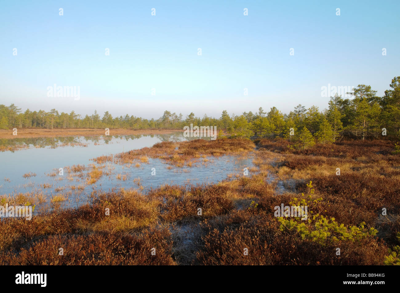 Moor-See in der Dämmerung Stockfoto