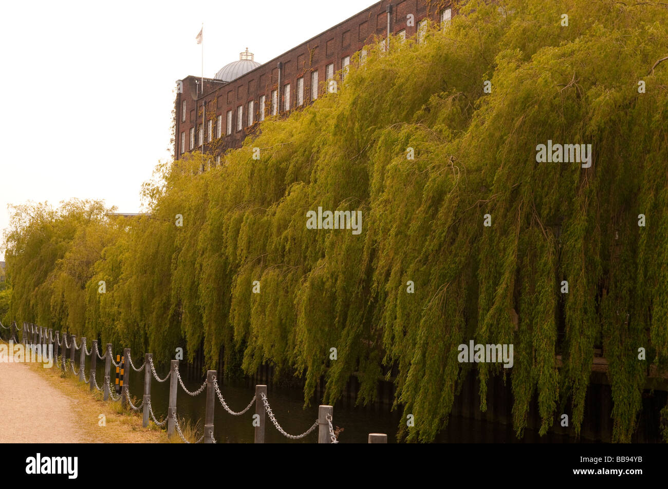 Kette-Zaun an der Grenze der Fluss Wensum mit Trauerweide Bäume als Frontmann der Senf-Mühle im Eigentum der Firma colman Stockfoto