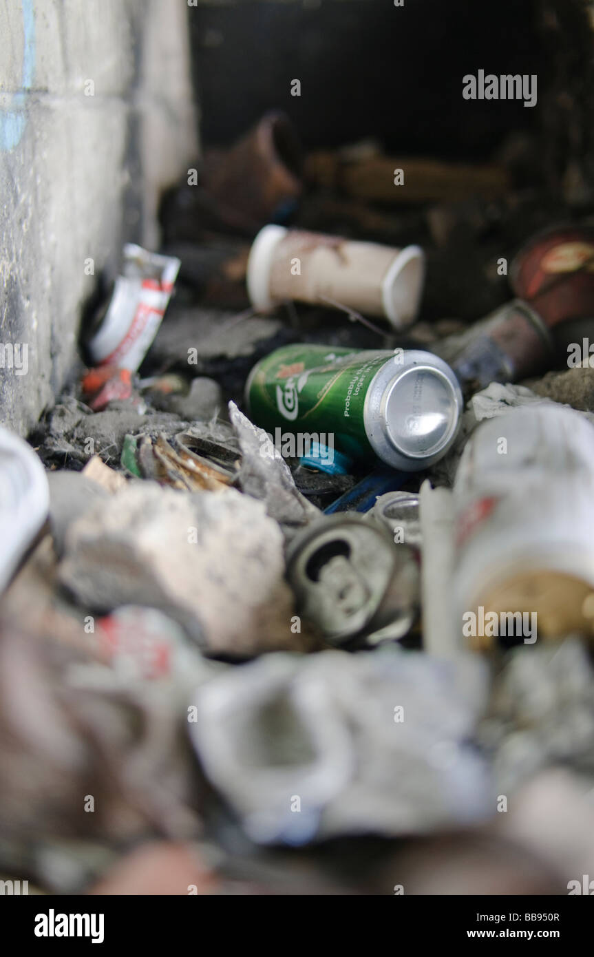 Haufen von ausrangierten Einstreu einschließlich Bier Dosen, Getränkedosen, knackige Taschen Stockfoto