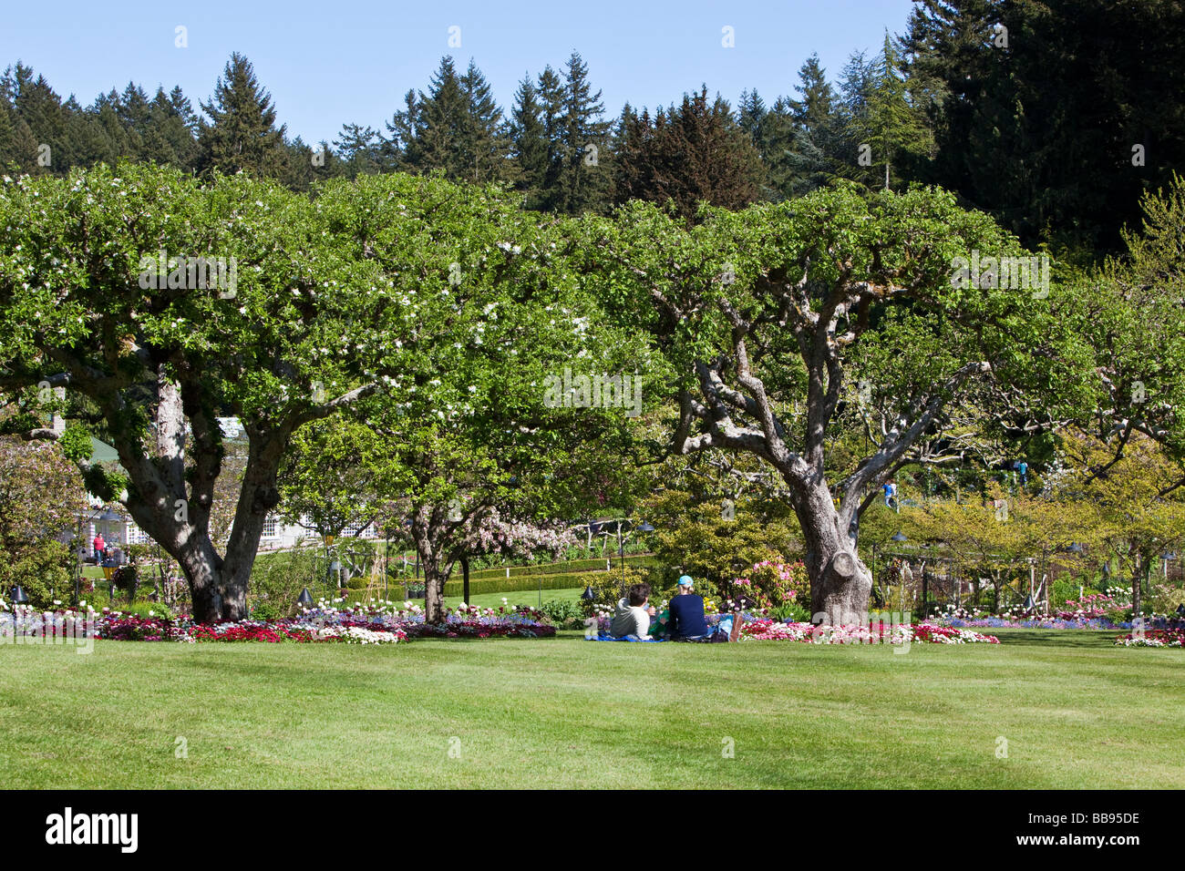 Menschen entspannen auf einem Rasen Sunny Frühlingstag in Butchart Gardens Victoria BC Kanada Stockfoto