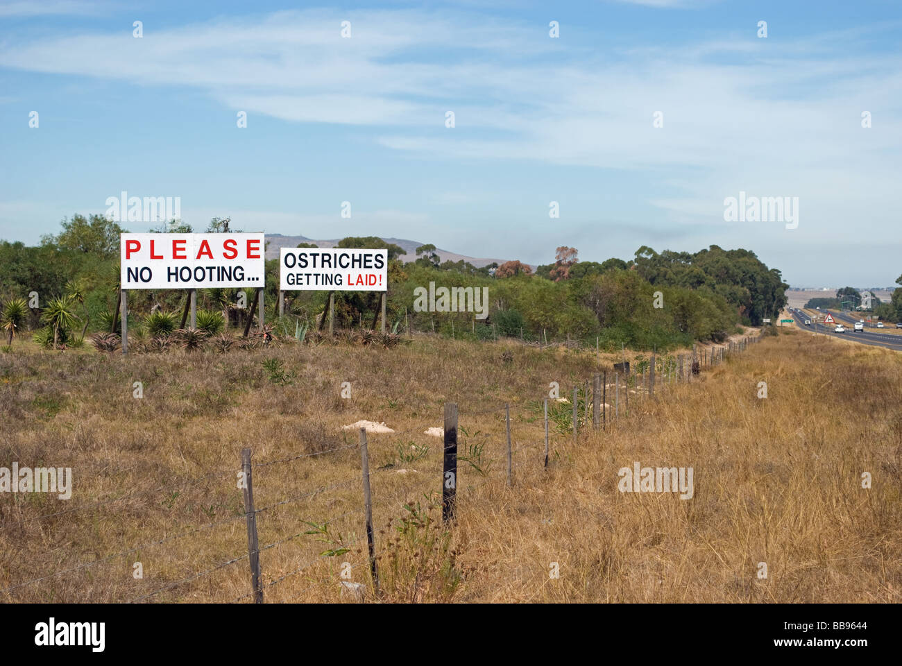 Eine humorvolle Warnung an Autofahrer zu unterlassen, mit ihren Hörnern beim passieren einer Straussenfarm am Stadtrand von Kapstadt. Stockfoto