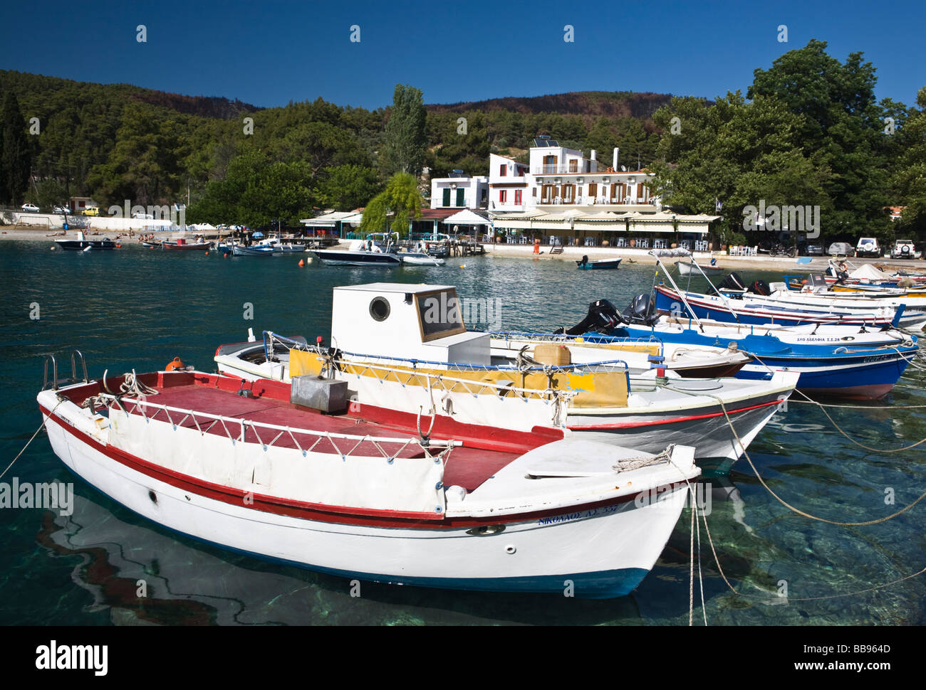 Bunte Boote auf Agnontas Bay Skopelos Insel griechischen Sporaden Griechenland Stockfoto