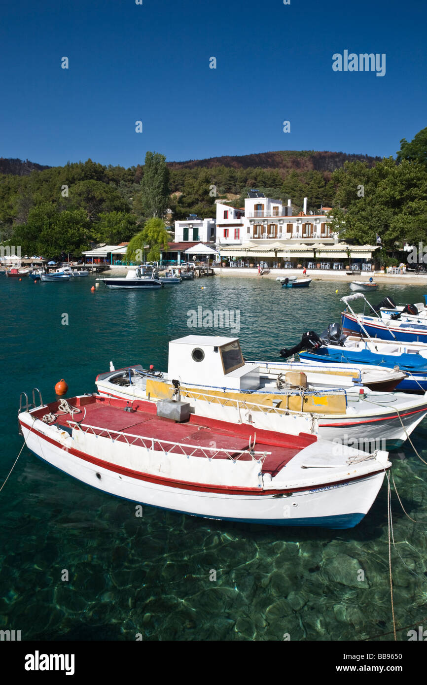Bunte Boote vertäut am Agnontas Bucht Skopelos Insel griechischen Sporaden Griechenland Stockfoto