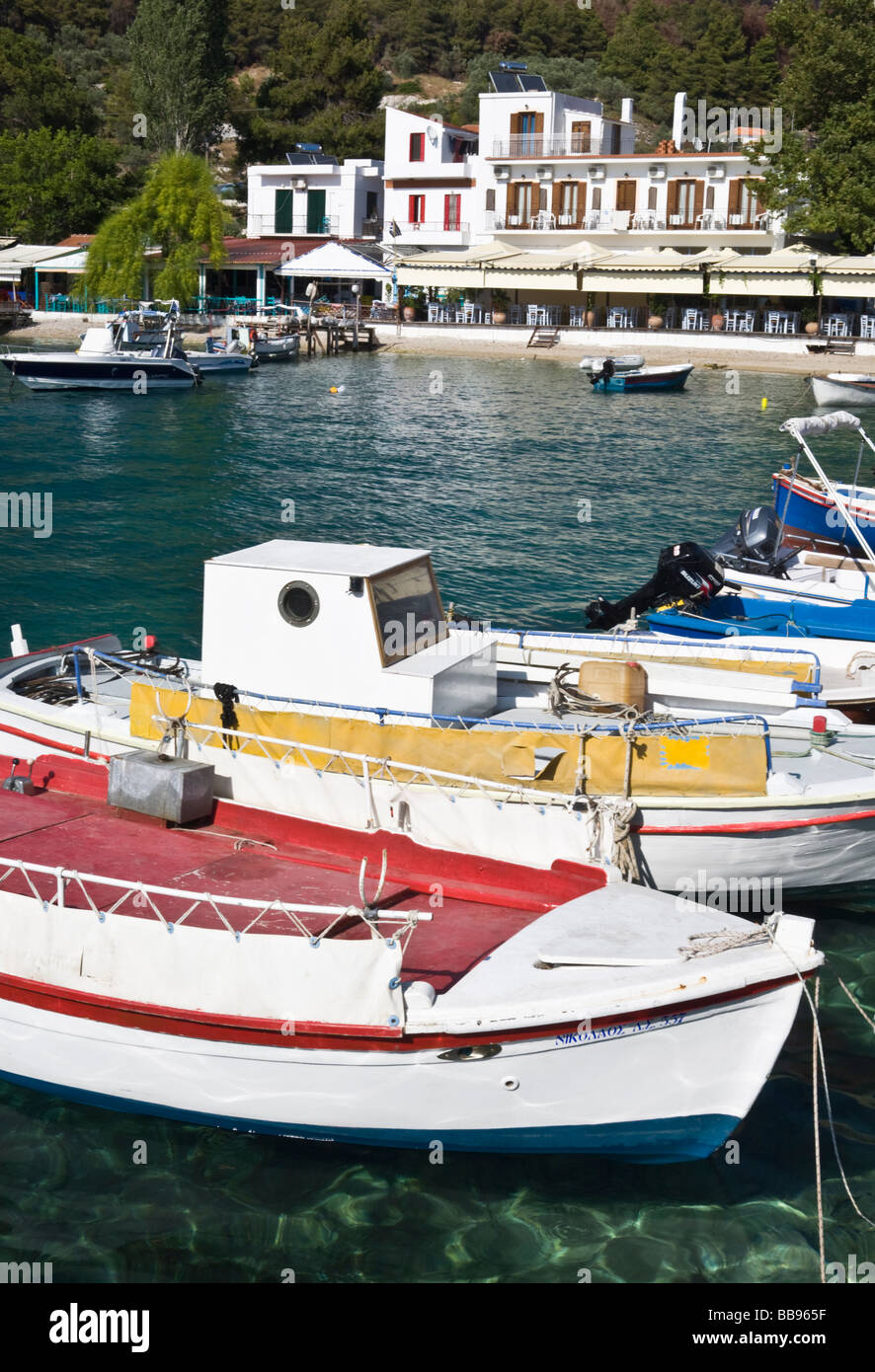 Bunte Boote auf Agnontas Bay Skopelos Insel griechischen Sporaden Griechenland Stockfoto