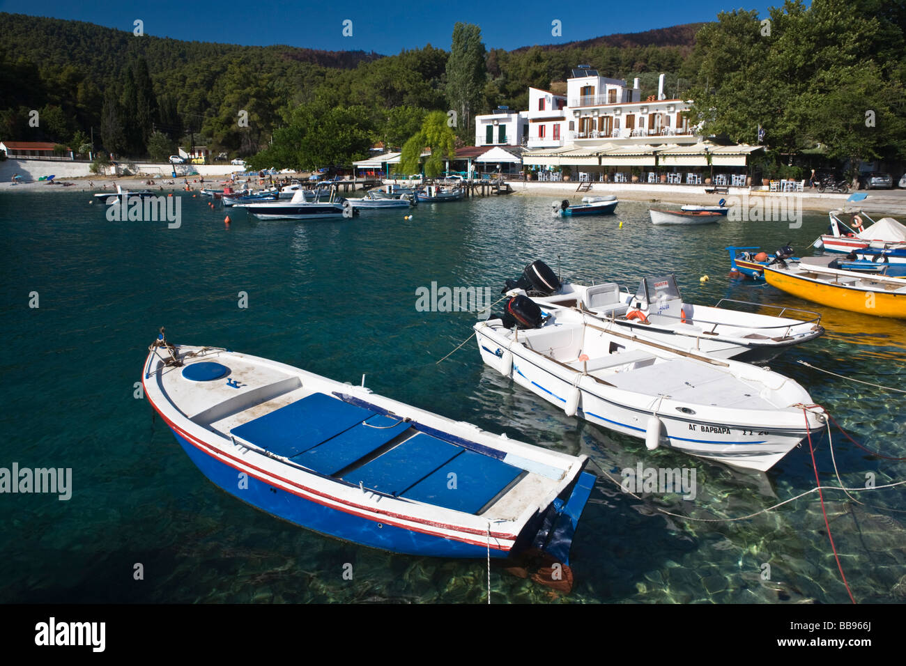 Boote bei Agnontas Bay Skopelos Insel griechische Inseln Sporaden Griechenland Stockfoto
