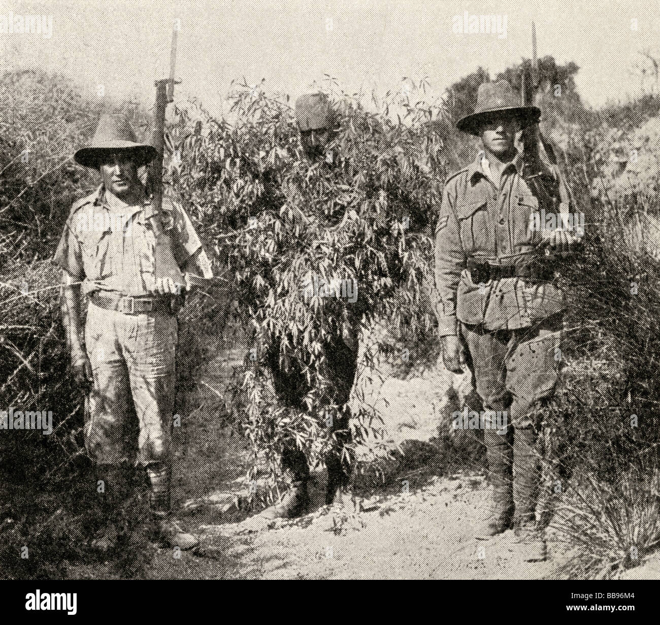 Gallipoli Kampagne.  Eine türkische Scharfschützen getarnt als Strauch in Haft nach von Anzac Truppen gefangen genommen. Stockfoto