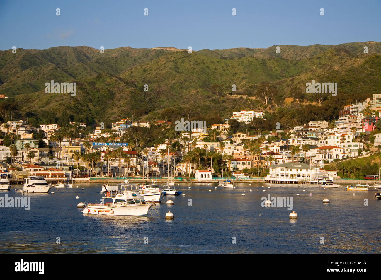 Mornling Licht auf Avalon Hafen und Catalina Island, Kalifornien USA Stockfoto