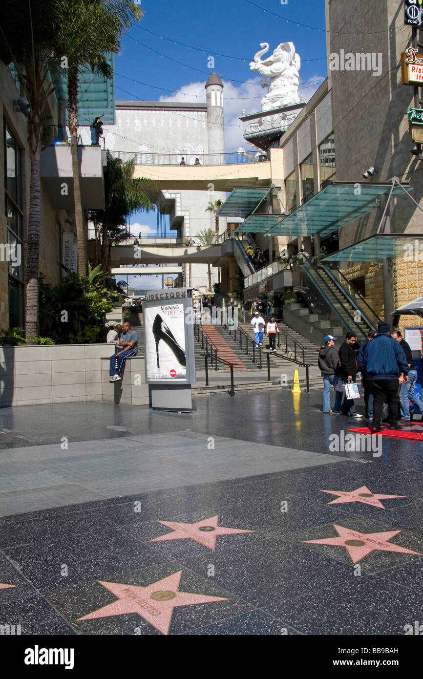 Sterne zu Ehren Stars auf dem Hollywood Walk of Fame am Hollywood Boulevard in Hollywood Los Angeles Kalifornien USA Stockfoto
