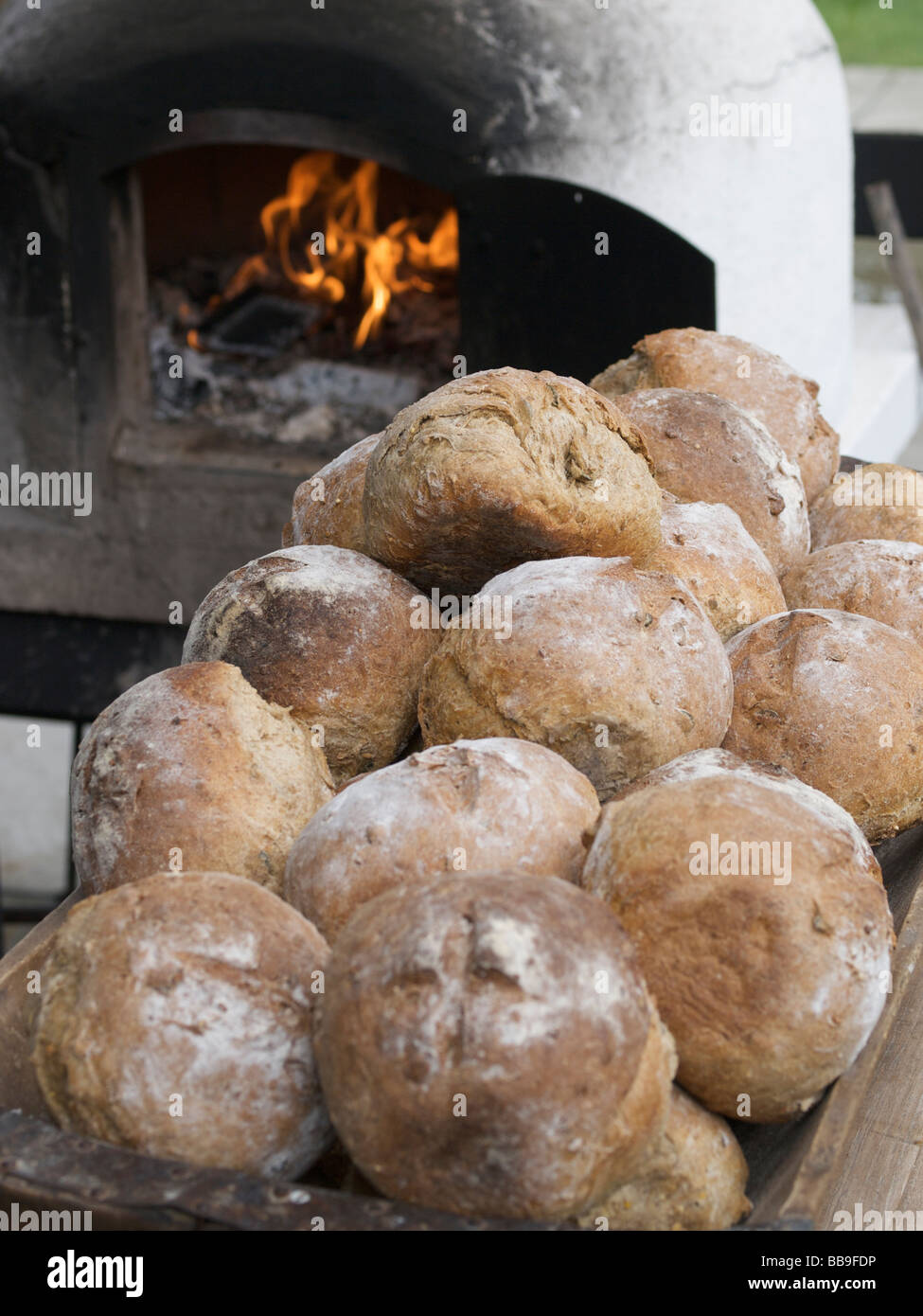 Frisch gebackenes Brot vor dem Ofen, die, dem es in gebacken wurde. Den Hout, Brabant, Niederlande Stockfoto