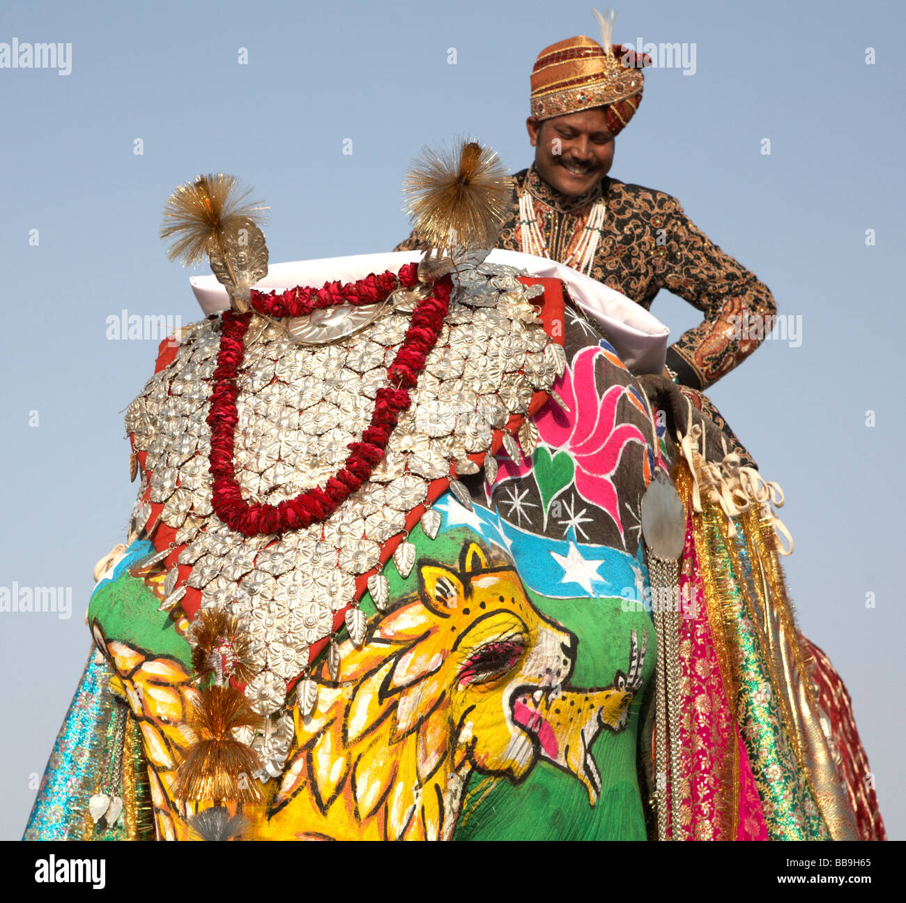 Elefanten mit Reiter im Elephant Festival Jaipur Rajasthan Indien Stockfoto