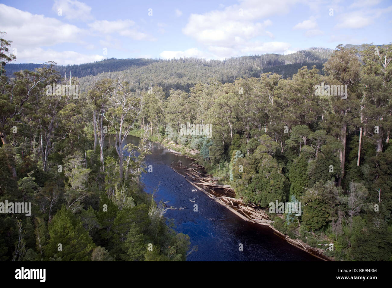 Hartz Mountains National Park, Tasmanien, Australien Stockfoto