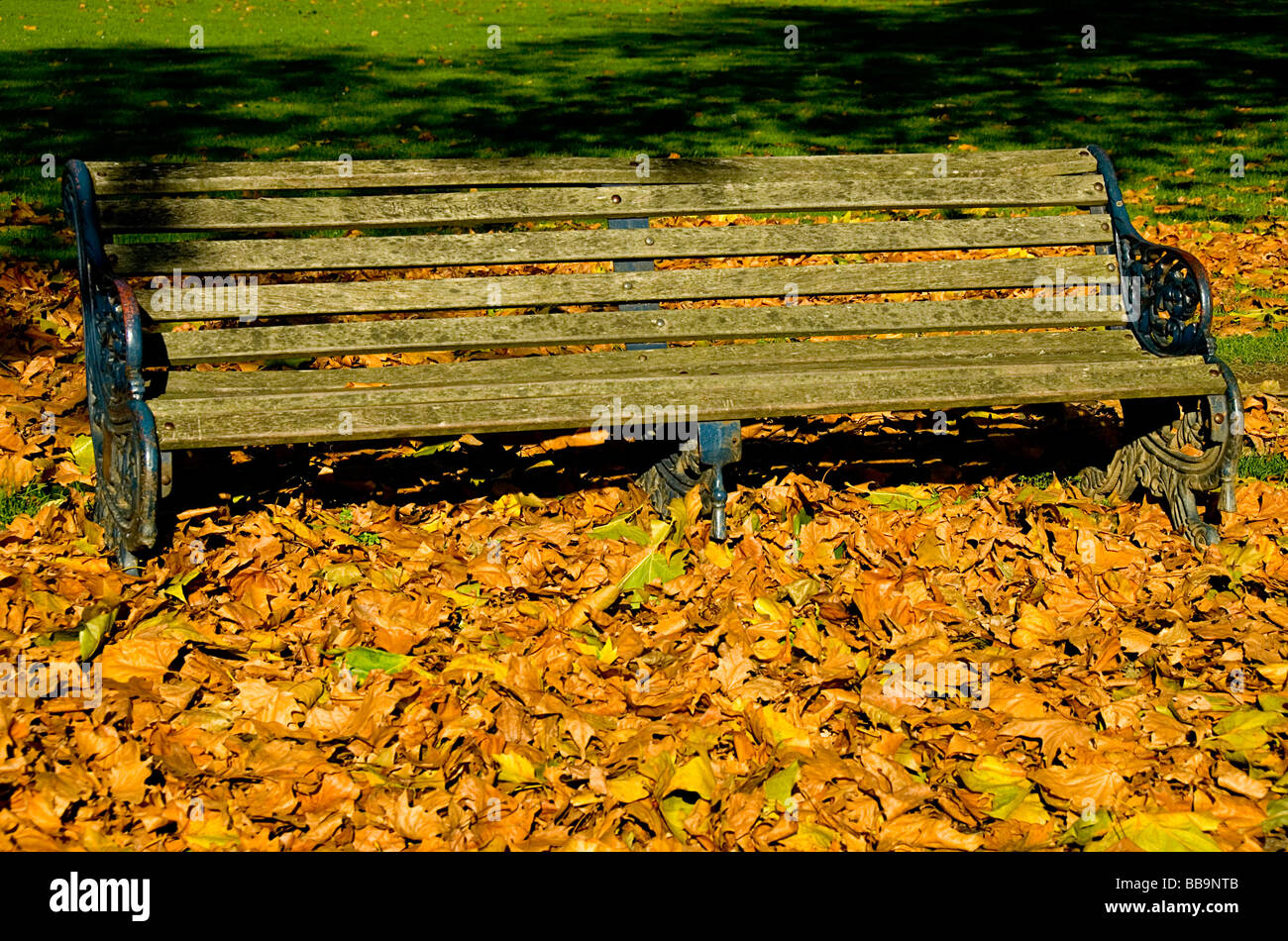 Parkbank mit Herbstlaub Stockfoto