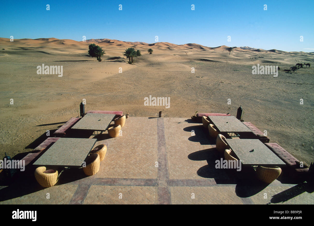 Hotelterrasse des Kanz Erremal mit Sanddünen des Erg Chebbi und Kamele hinter Hassi Labied, Erg Chebbi, Marokko Stockfoto