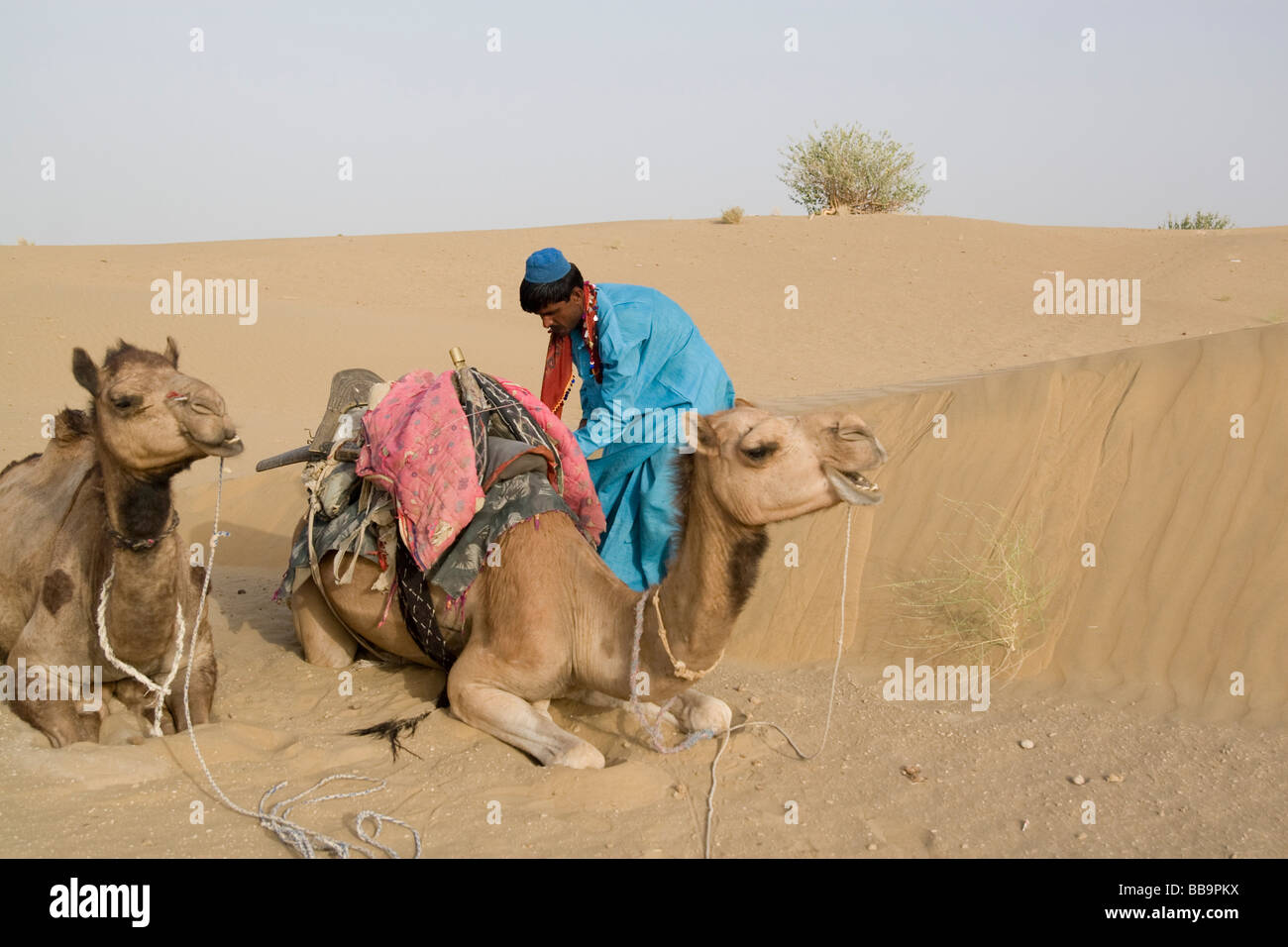 Indien Rajasthan Jaisalmer Kamelritt in den Sanddünen der Kanoi Region nahe der Grenze zu Pakistan Stockfoto