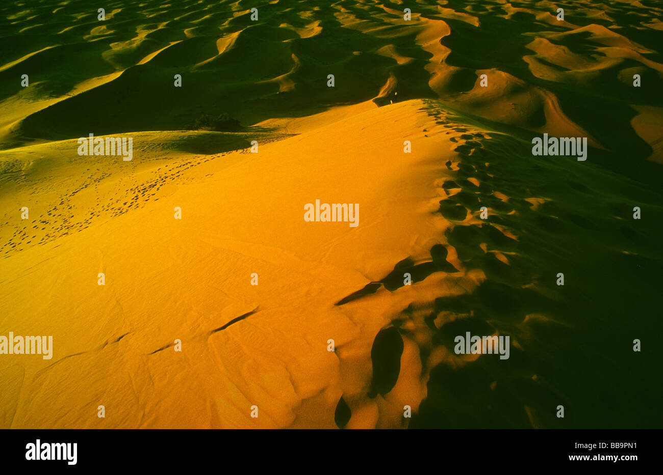 Sanddünen des Erg Chebbi mit einem wandern Touristen, Westsahara, Marokko Stockfoto
