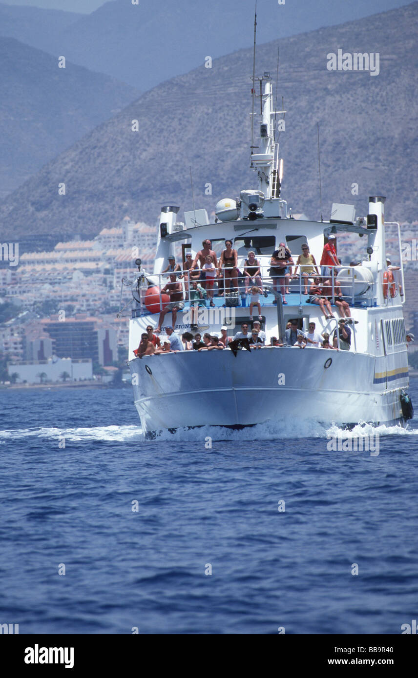 Touristen auf eine Whale-watching Ausflug an der südwestlichen Küste von Teneriffa, Kanarische Inseln Stockfoto