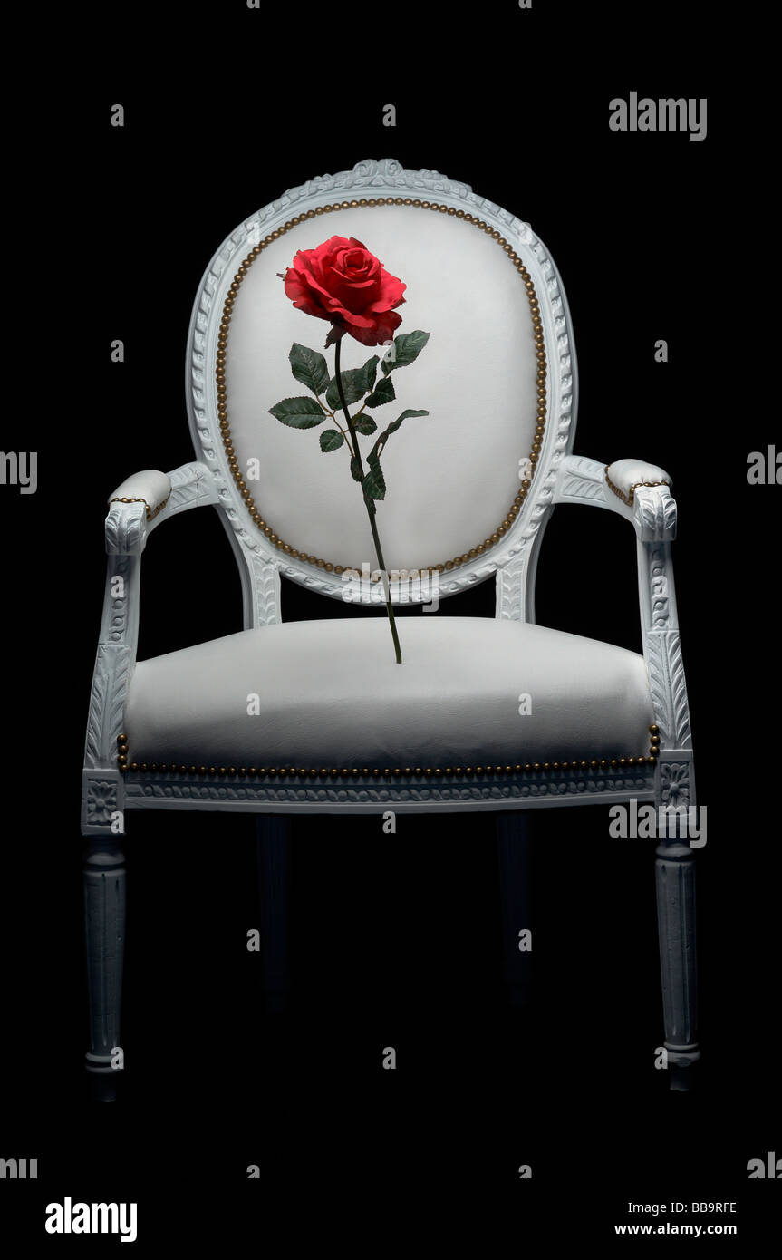Die weißen Stuhl und eine rote Rose. Stockfoto