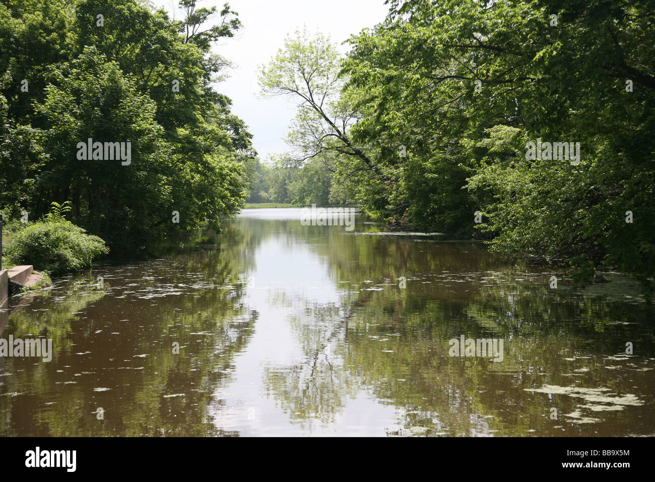 Malerische historische Raritan (D & R) Kanal, Wasser Fluss Transport-Kanal Zweig Frühling grün Bäume 175 Jahre New Jersey Stockfoto