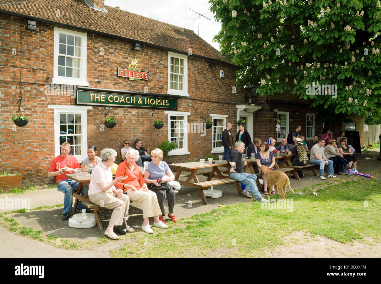 Menschen trinken auf dem Grün vor einem Stadt-Pub, The Coach und Pferde, Wallingford, Oxfordshire Stockfoto