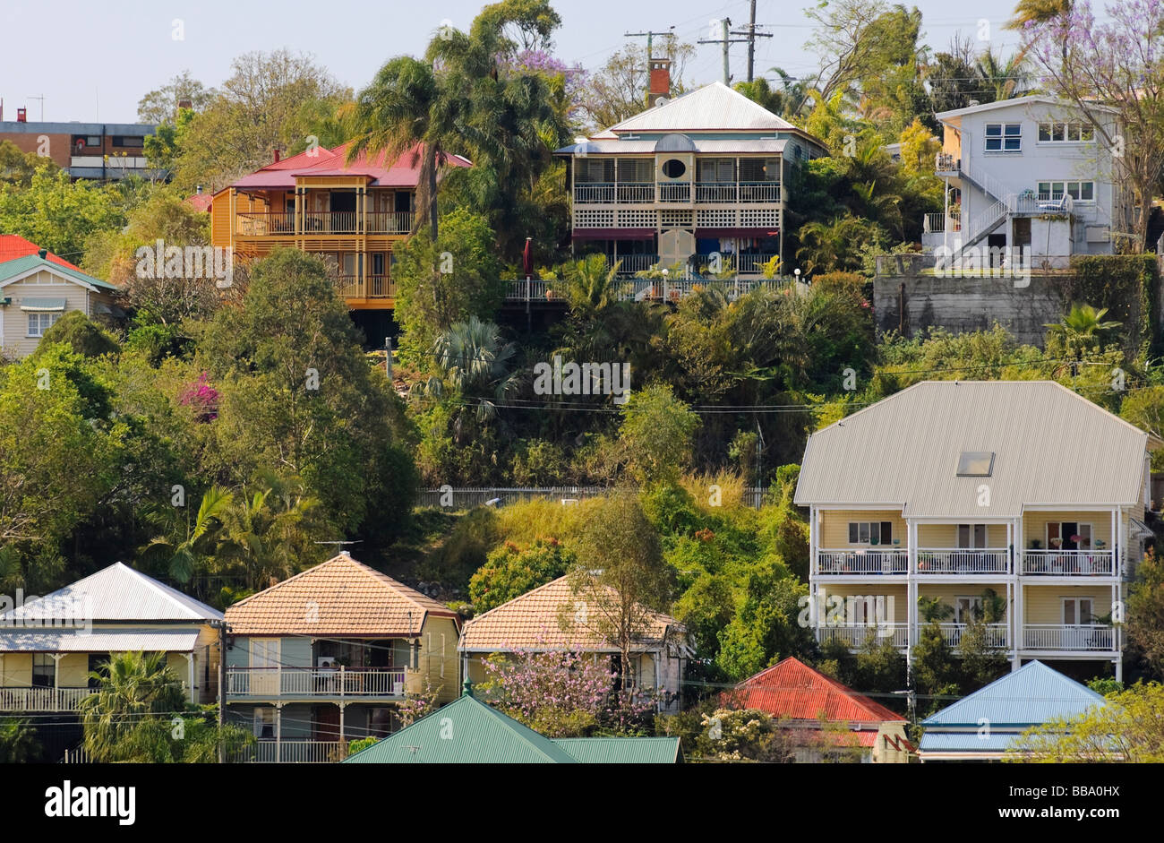 Bunte Queenslander Häuser mit Metall ('Tin') Dächern an einem steilen Hang in Paddington, Brisbane, Australien Stockfoto