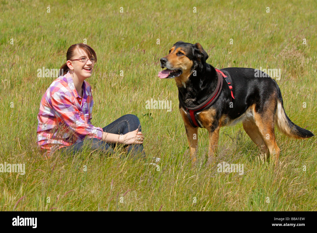 ein junges Mädchen und ihr großer Hund Stockfoto