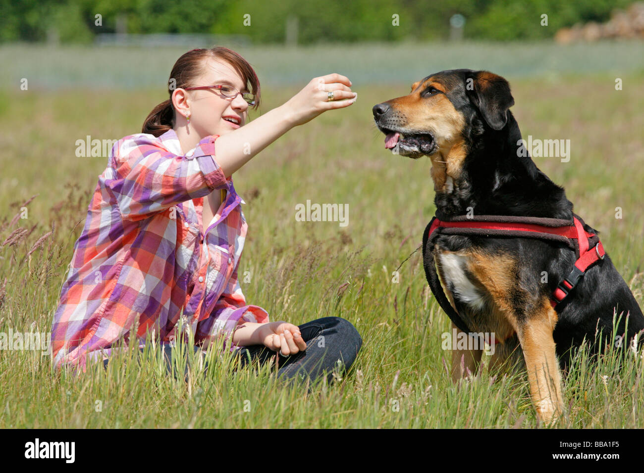 ein junges Mädchen und ihr großer Hund Stockfoto